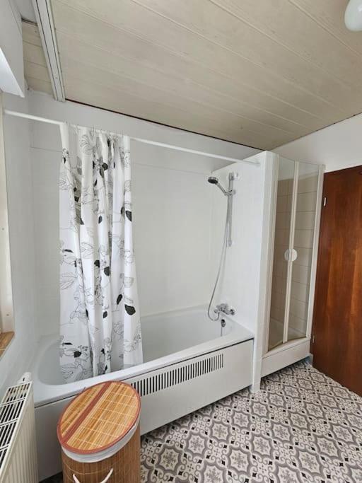 Grosse Ferienwohnung Am Waldrand Schonau  Εξωτερικό φωτογραφία