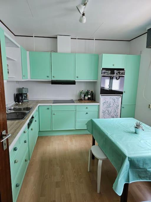 Grosse Ferienwohnung Am Waldrand Schonau  Εξωτερικό φωτογραφία