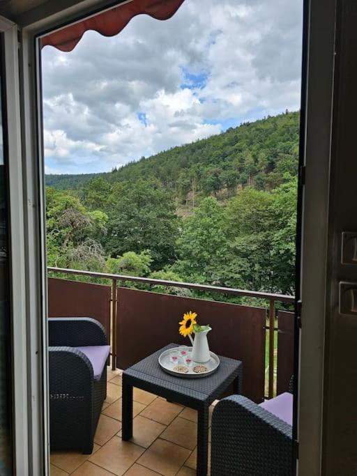 Grosse Ferienwohnung Am Waldrand Schonau  Εξωτερικό φωτογραφία