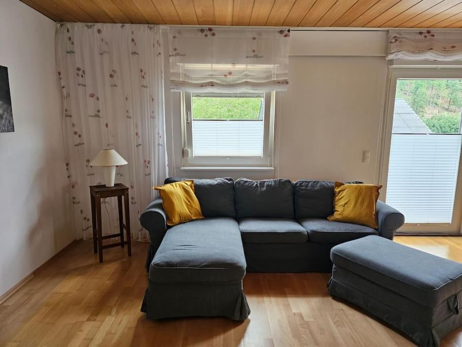Grosse Ferienwohnung Am Waldrand Schonau  Εξωτερικό φωτογραφία