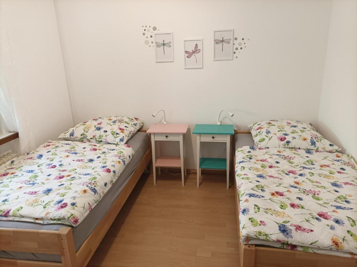 Grosse Ferienwohnung Am Waldrand Schonau  Εξωτερικό φωτογραφία